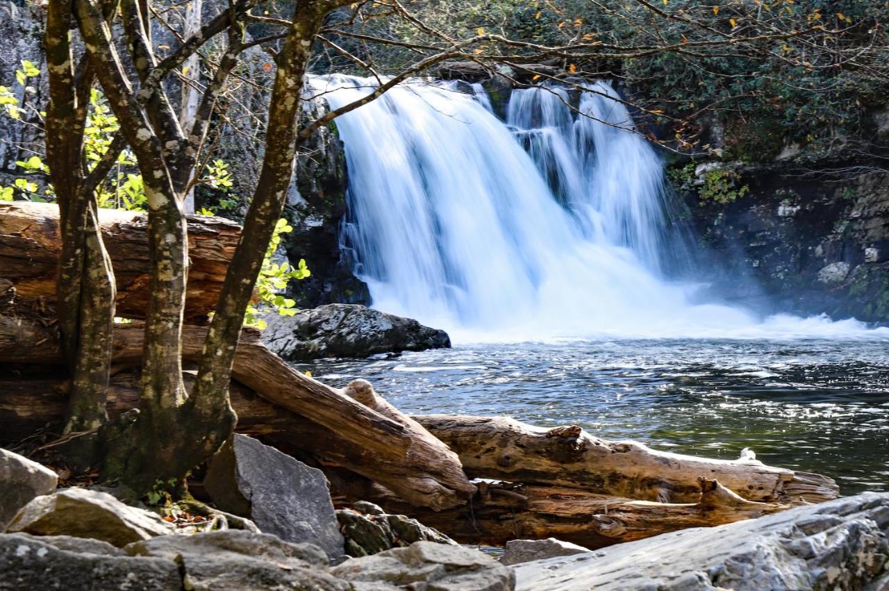 Kickin Back Whispering Pines 343 Apartment Pigeon Forge Ngoại thất bức ảnh